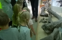 WP_20181030_11_01_42_Pro