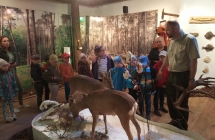 IMG_20190520_115508[1]