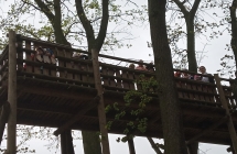 IMG_20190520_104727[1]