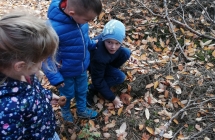 IMG_20191024_110743_resized_20191024_082306106