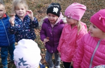 IMG_20191024_110521_resized_20191024_082306838