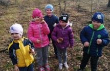 IMG_20191024_110701_resized_20191024_082304620