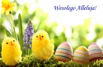 wielkanoc_1920x1200_100_kurczaczki__pisanki__kwiaty