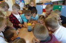 Pieciolatki obserwuja zjawisko przenikania cieczy.