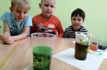 Eksperyment Kolorowy deszcz