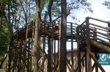 Przedszkolaki na platformie widokowej