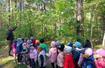 Dzieci poznaja pietra lasu