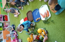 Dzieci z grupy IX klasyfikuja warzywa. 