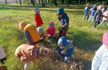 Przedszkolaki przygladaja sie naturze