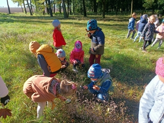 Przedszkolaki przygladaja sie naturze