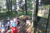 gr. III spacer do parku - ogladamy tablice o zwierzetach