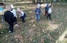 IMG_20211004_112828[1]