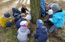 dzieci zbieraja grzyby