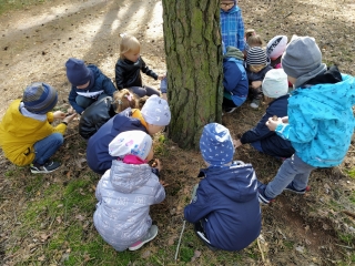 dzieci zbieraja grzyby