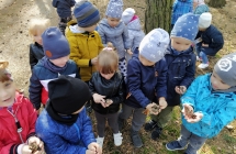 dzieci trzymaja  w dloniach szyszki