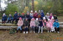 Usmiechniete dz. z gr. VII siedza na scietych drzewach w lesie.