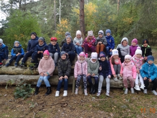 Usmiechniete dz. z gr. VII siedza na scietych drzewach w lesie.