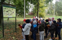 Szesciolatki z gr. VII rozpoznaja ptaki na tablicy edukacyjnej w parku.