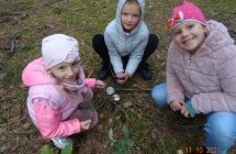 Dziewczynki z gr. VII ogladaja grzyby przez lupy.