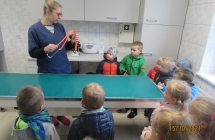 gr. III wycieczka do weterynarza - sluchanie opowiadania o pracy weterynarza