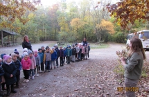 Dzieci z gr. V i VII w lesie