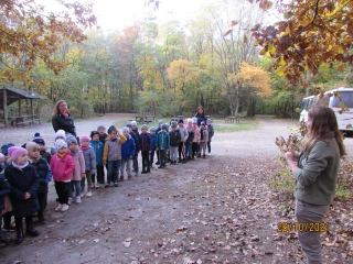 Dzieci z gr. V i VII w lesie