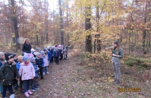 Przedszkolaki poznaja budowe lasu