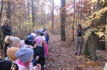 Dzieci szukaja roznic w wygladzie drzew