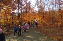 Przedszkolaki spaceruja po jesiennej alejce