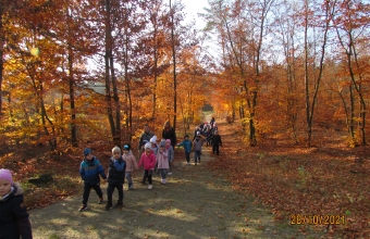 Przedszkolaki spaceruja po jesiennej alejce