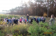 Dzieci poznaja mlody las