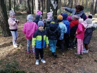 Nauczycielka wskazuje wydrazone przez ptaki otwory w drzewie