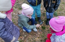 Dzieci obserwuja przez lupe znalezionego grzyba