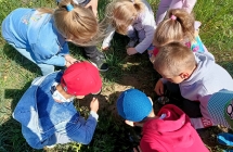 Przedszkolaki przyglkadaja sie roslinom na lace (2)
