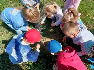 Przedszkolaki przyglkadaja sie roslinom na lace (2)