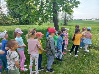 Dzieci z gr. VII obserwują łąkę.