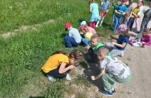 Dz. z gr. VII obserwują owady i rośliny przez lupy.