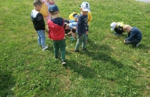 gr. ogladanie przez lupe  (2)