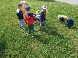 gr. ogladanie przez lupe (2)