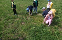 gr. ogladanie przez lupe  (1)