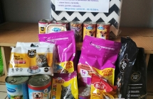 Zbiorka dla schroniska dla zwierzat