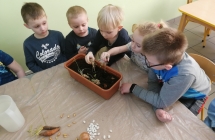 Sadzimy cebule i pietruszke