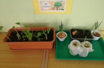 Nasz ogrodek w sali