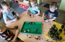 Robimy las w sloiku 2