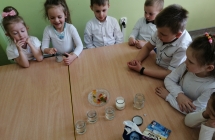 Eksperyment z zelkami