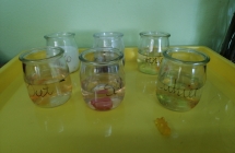 Eksperyment z zelkami 2