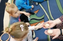 Eksperyment z jajkami