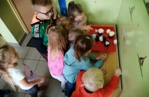 Eksperyment z margaretkami 2