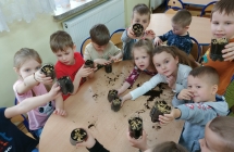 Przedszkolaki sieja owies do powstalych doniczek z plastikowych butelek