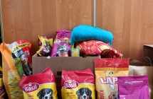 Zbiorka artykulow dla bezdomnych zwierzat